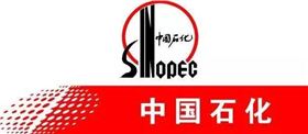 羅德凸輪轉子泵石油石化行業應用與發展